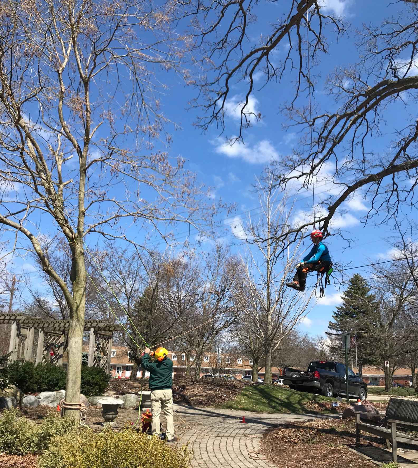 aborists cleaning broken trees